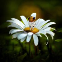 Tiny Tarutaru by Lockpick