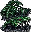 Skull Dragon Skull Dragon