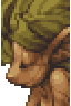 Woodman