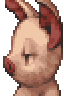Swine